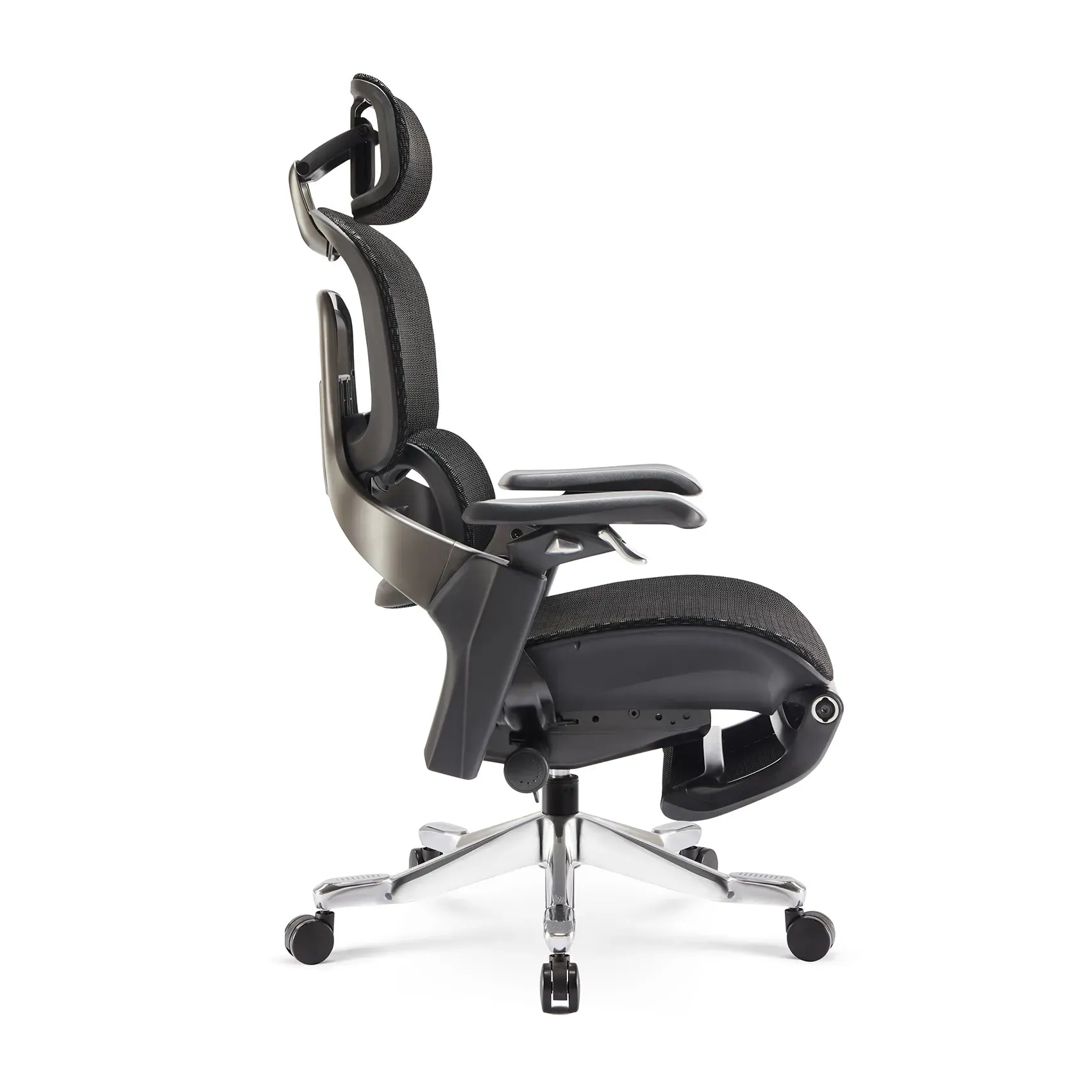 Elli Ergonomic Office Chair