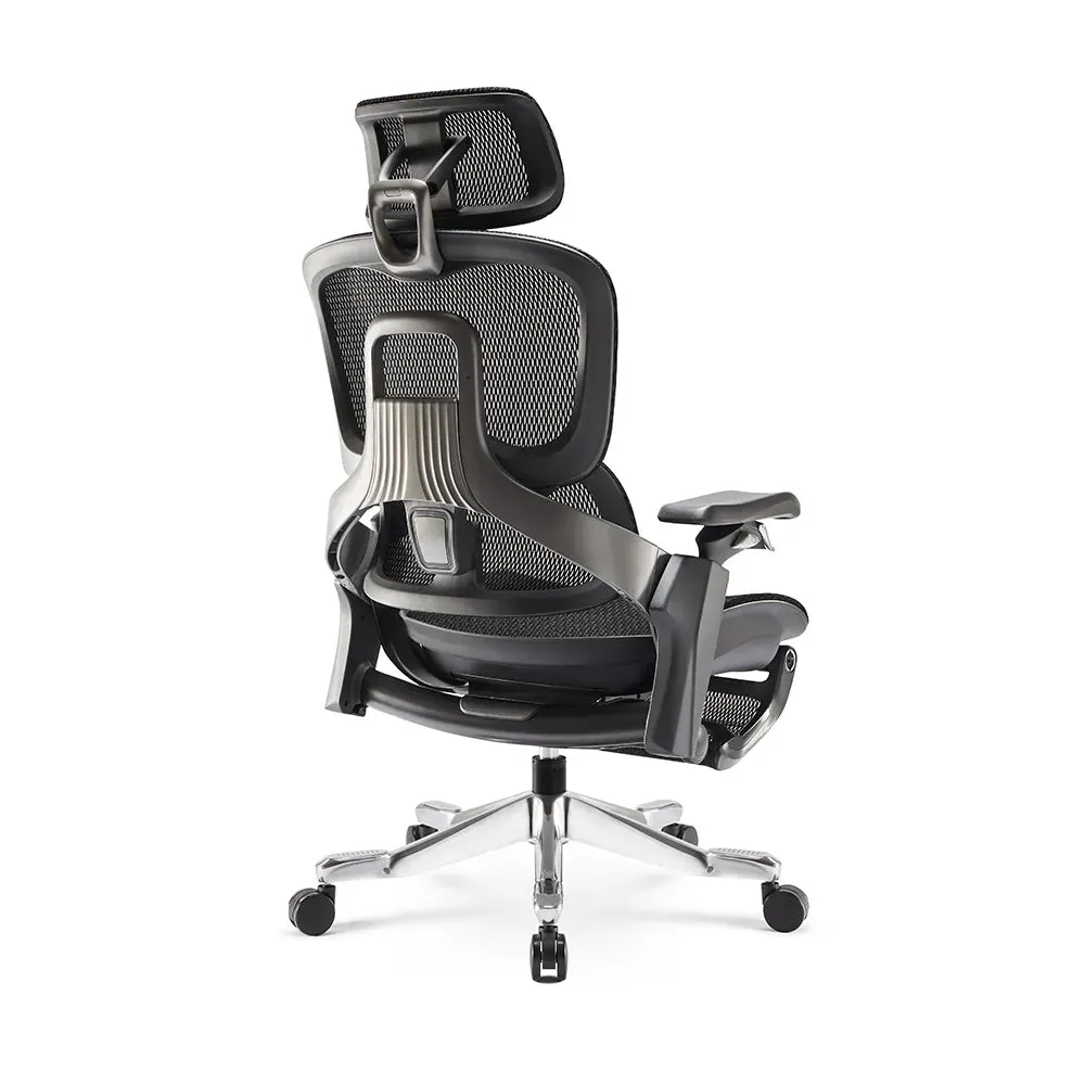 Elli Ergonomic Office Chair